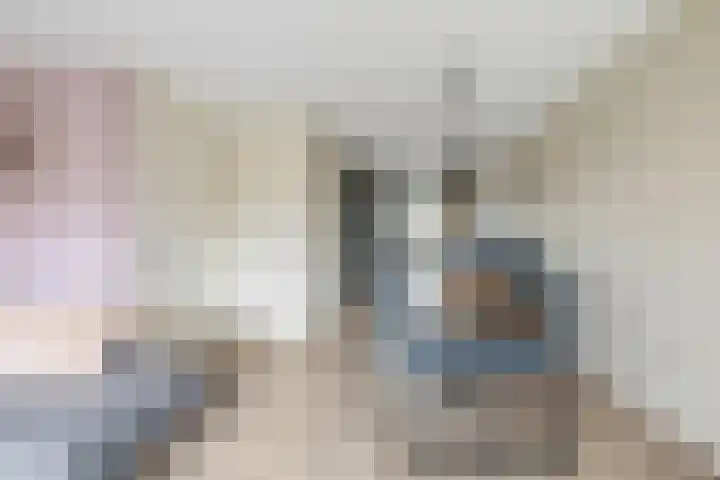 Zonnebaars 39 Waddinxveen thumbnail 13