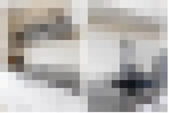 Zonnebaars 39 Waddinxveen thumbnail 16