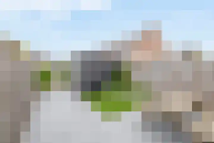 Zonnebaars 39 Waddinxveen thumbnail 17