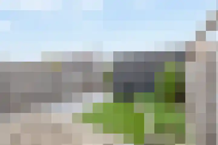 Zonnebaars 39 Waddinxveen thumbnail 18