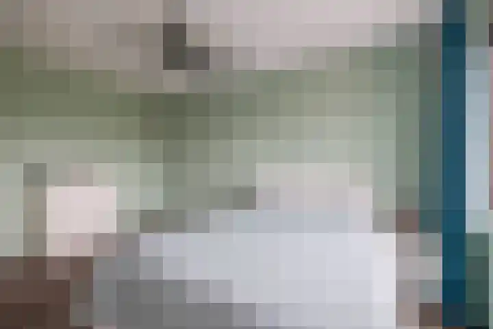 Zonnebaars 39 Waddinxveen thumbnail 24