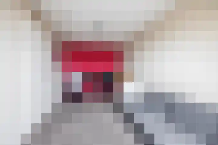 Zonnebaars 39 Waddinxveen thumbnail 30