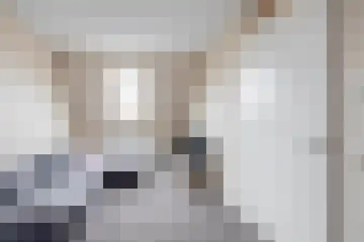 Zonnebaars 39 Waddinxveen thumbnail 31