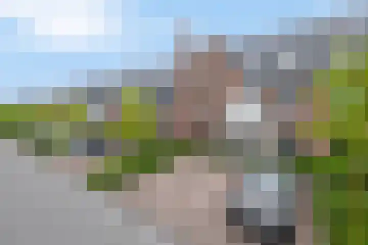 Zonnebaars 39 Waddinxveen thumbnail 6