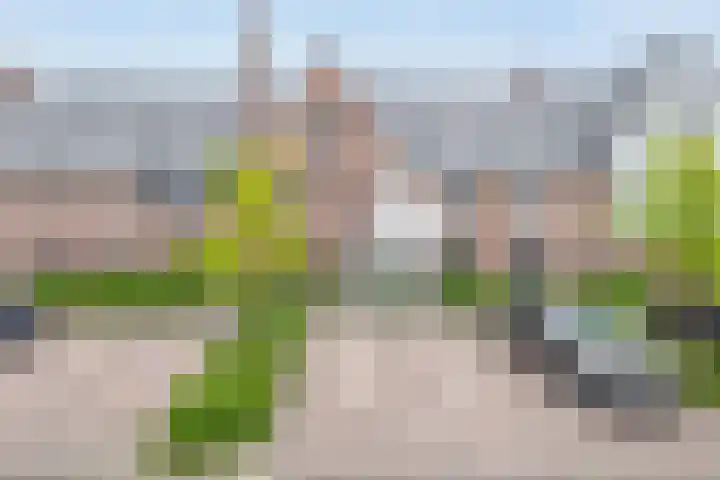 Zonnebaars 39 Waddinxveen thumbnail 7