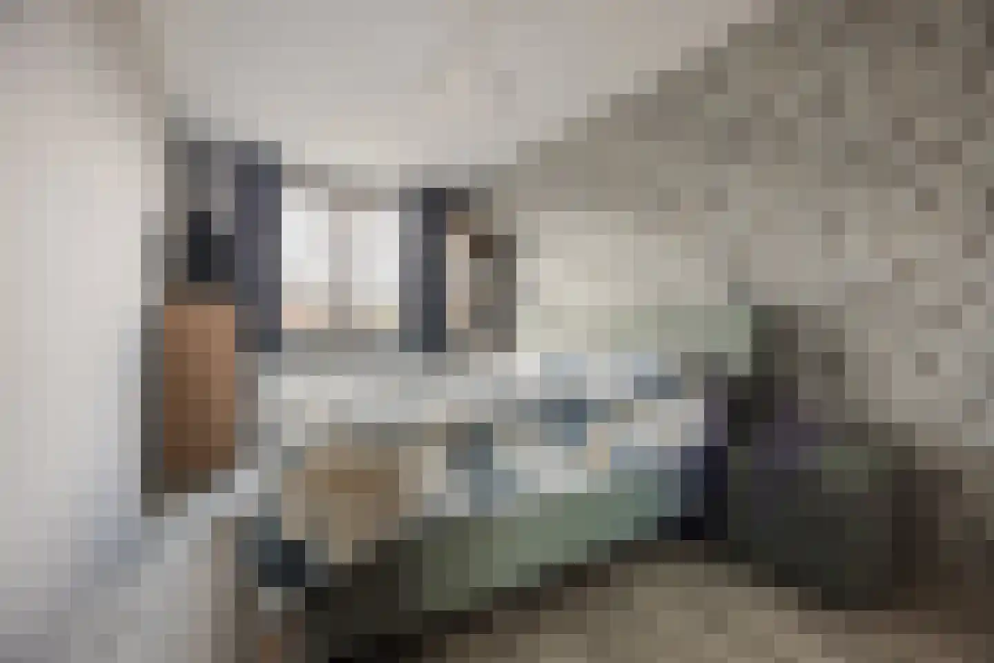 Zonnebaars 43 Waddinxveen thumbnail 11