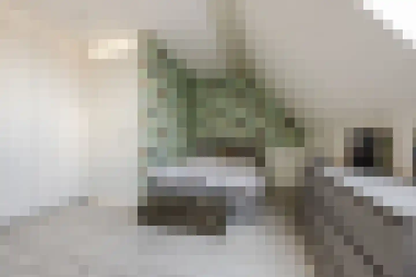 Zonnebaars 43 Waddinxveen thumbnail 20