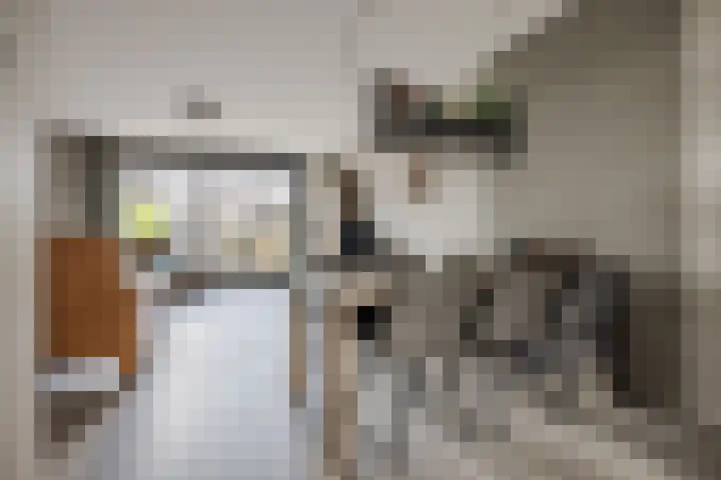 Zonnebaars 43 Waddinxveen thumbnail 6