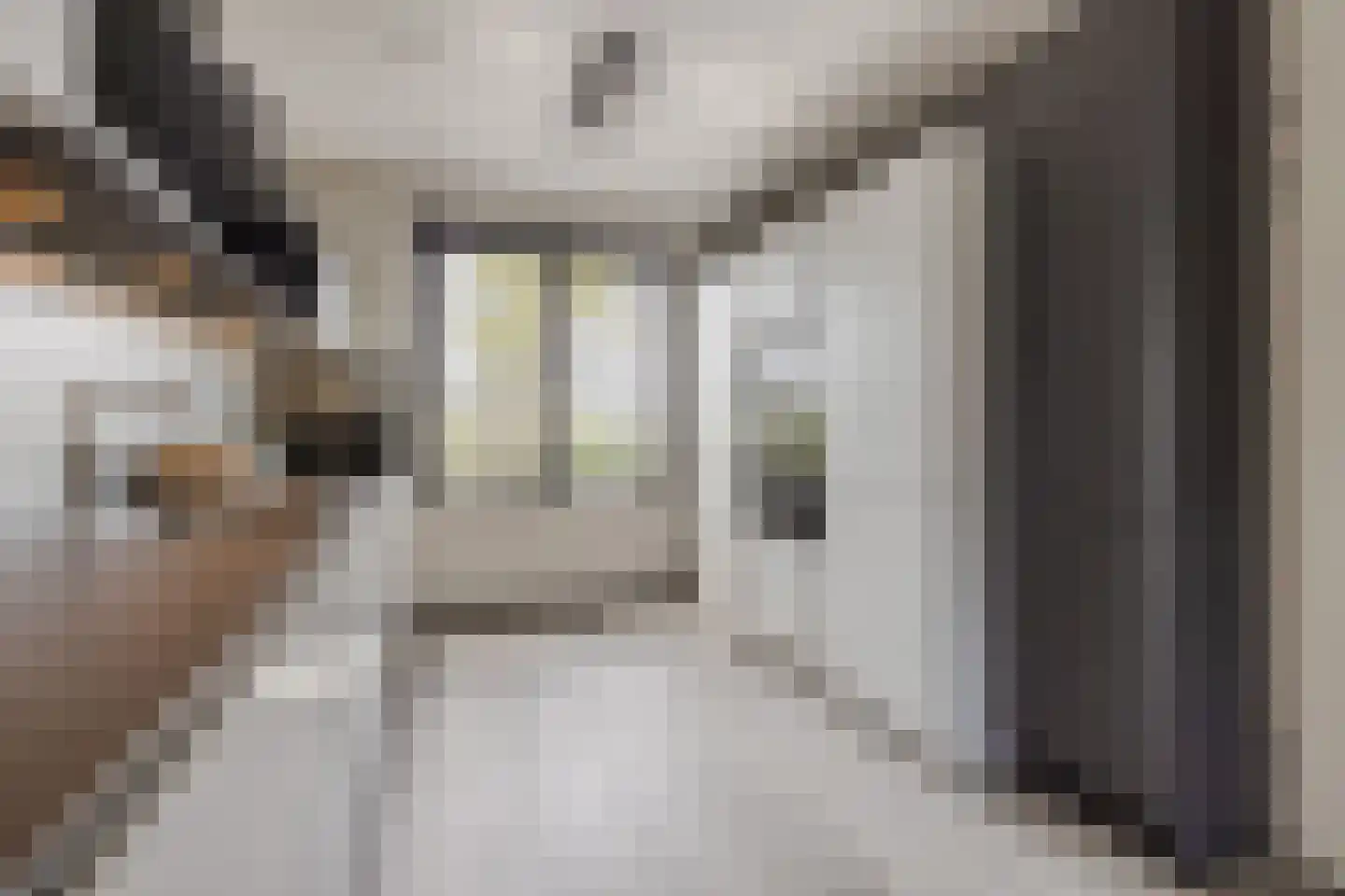 Zonnebaars 43 Waddinxveen thumbnail 7