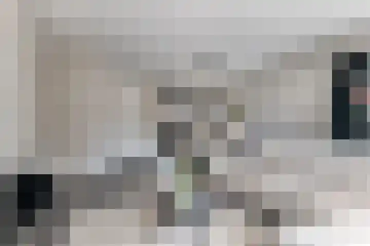 Zonnebaars 5 Rossum thumbnail 10