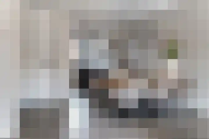 Zonnebaars 5 Rossum thumbnail 11