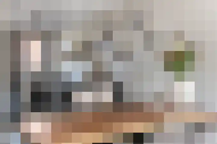 Zonnebaars 5 Rossum thumbnail 12