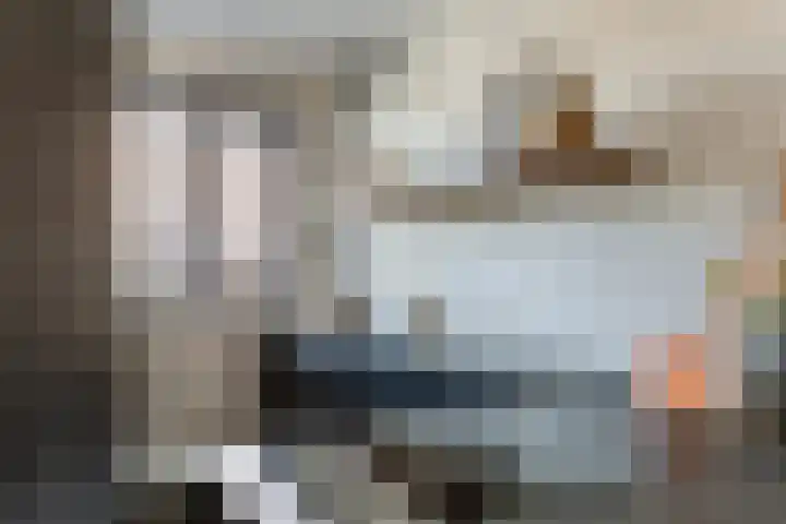 Zonnebaars 5 Rossum thumbnail 13