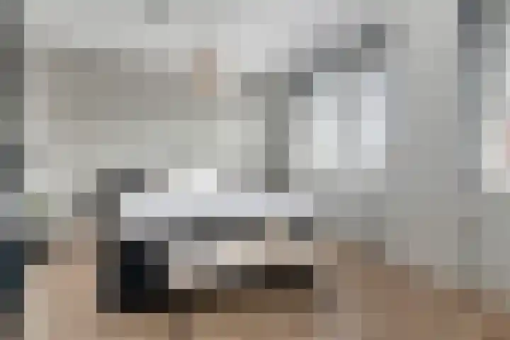 Zonnebaars 5 Rossum thumbnail 19