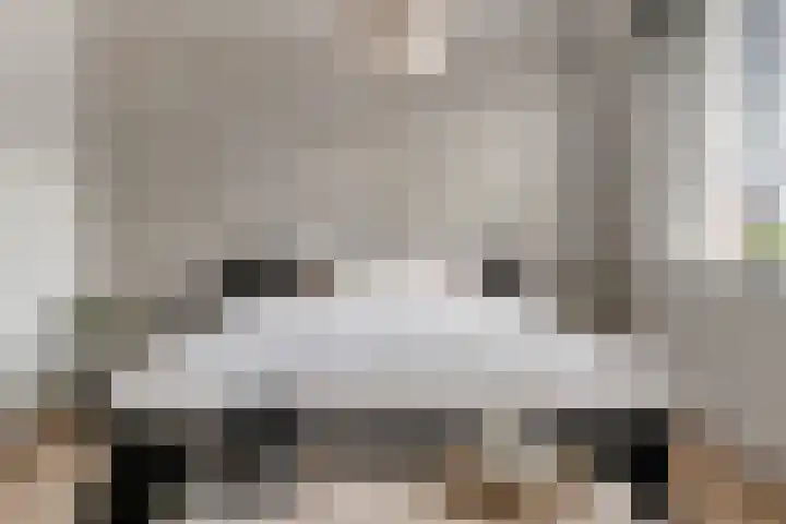 Zonnebaars 5 Rossum thumbnail 20