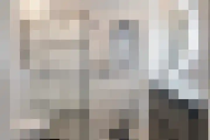 Zonnebaars 5 Rossum thumbnail 22