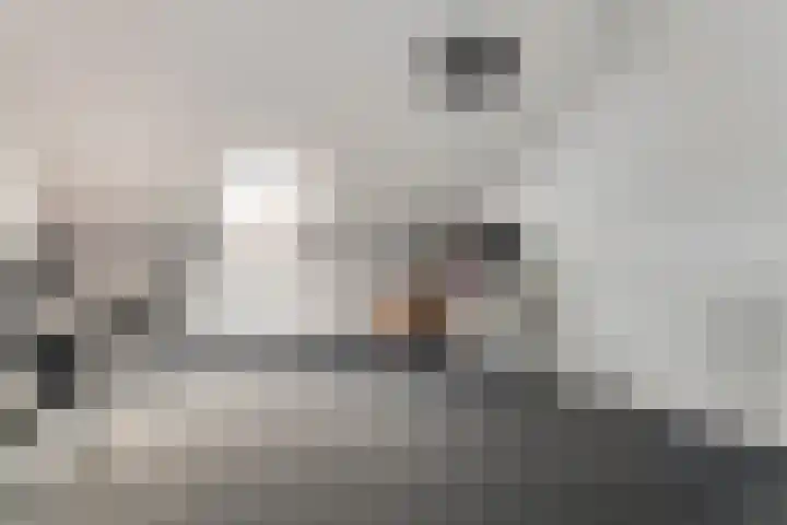 Zonnebaars 5 Rossum thumbnail 24