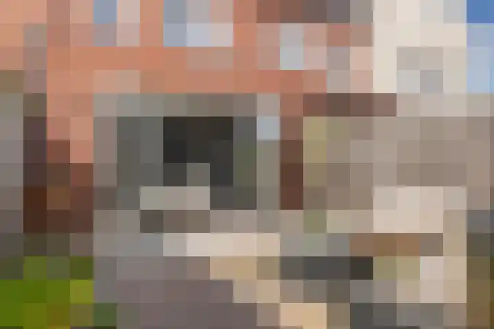 Zonnebaars 5 Rossum thumbnail 25