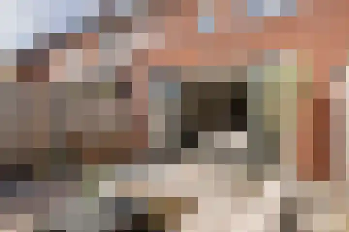 Zonnebaars 5 Rossum thumbnail 26
