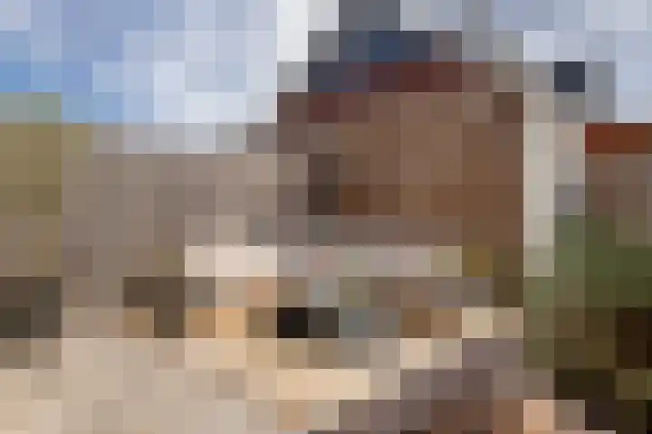 Zonnebaars 5 Rossum thumbnail 27