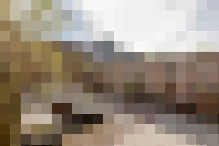 Zonnebaars 5 Rossum thumbnail 28