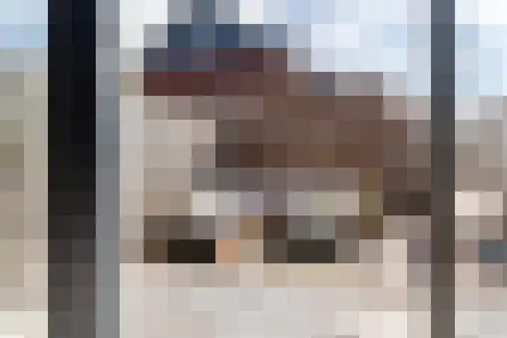 Zonnebaars 5 Rossum thumbnail 30