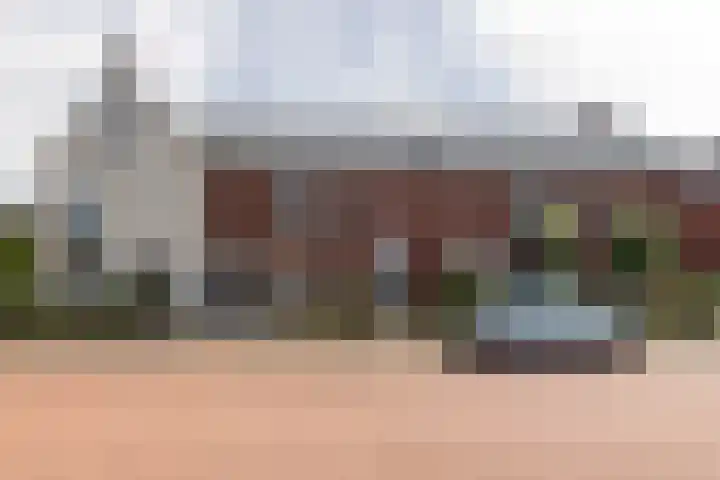 Zonnebaars 5 Rossum thumbnail 31