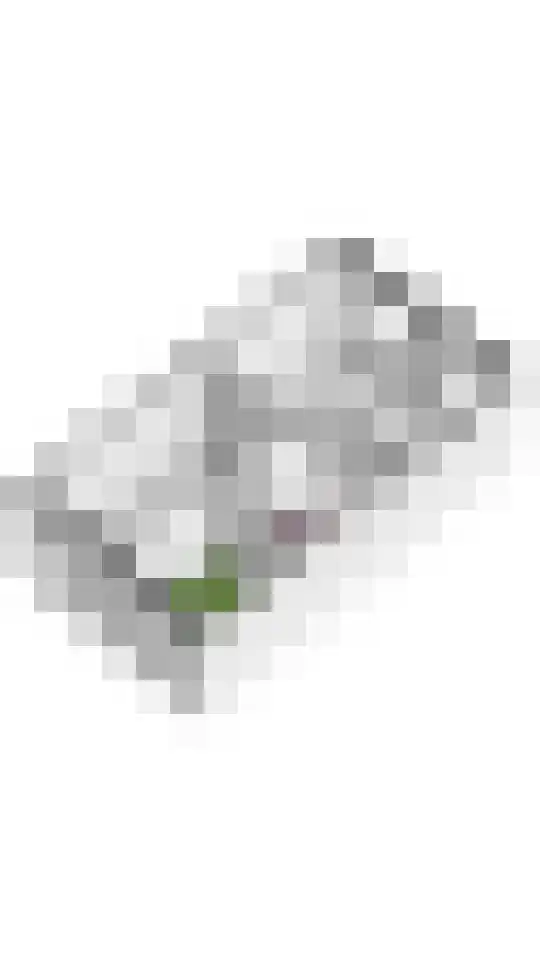 Zonnebaars 5 Rossum thumbnail 35