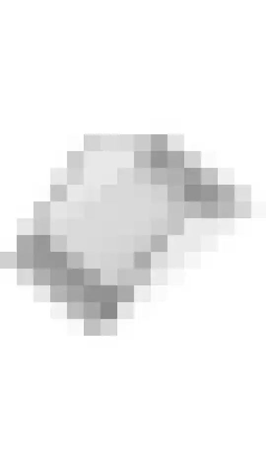 Zonnebaars 5 Rossum thumbnail 37