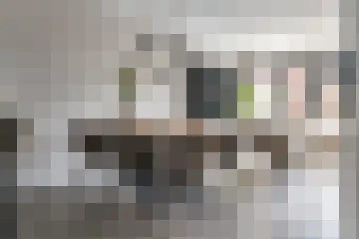 Zonnebaars 5 Rossum thumbnail 4