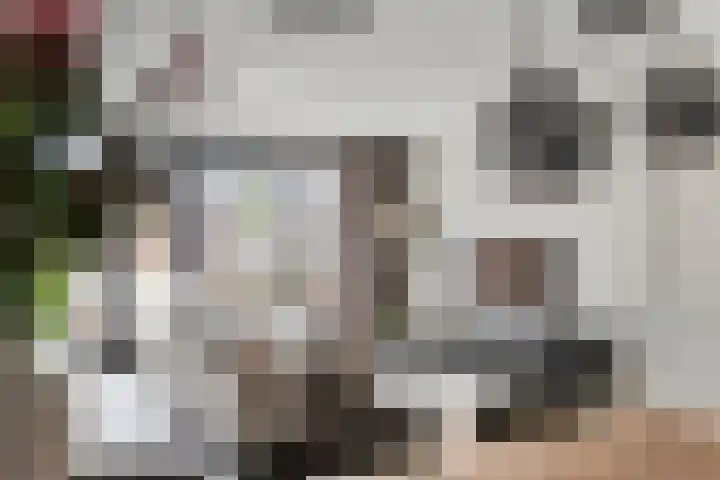 Zonnebaars 5 Rossum thumbnail 6