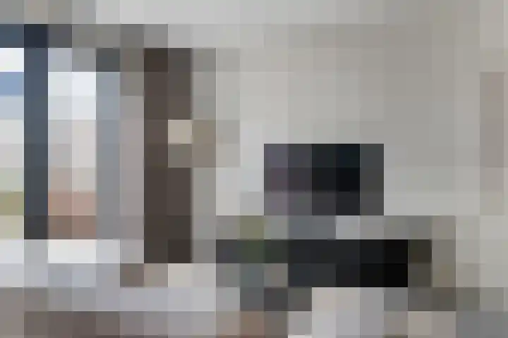 Zonnebaars 5 Rossum thumbnail 8