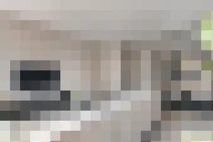 Zonnebaars 5 Rossum thumbnail 9