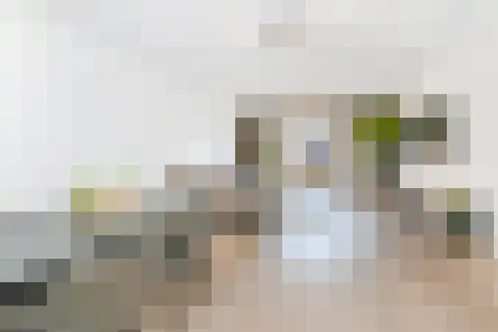 Zonnebaars 53 Waddinxveen thumbnail 10