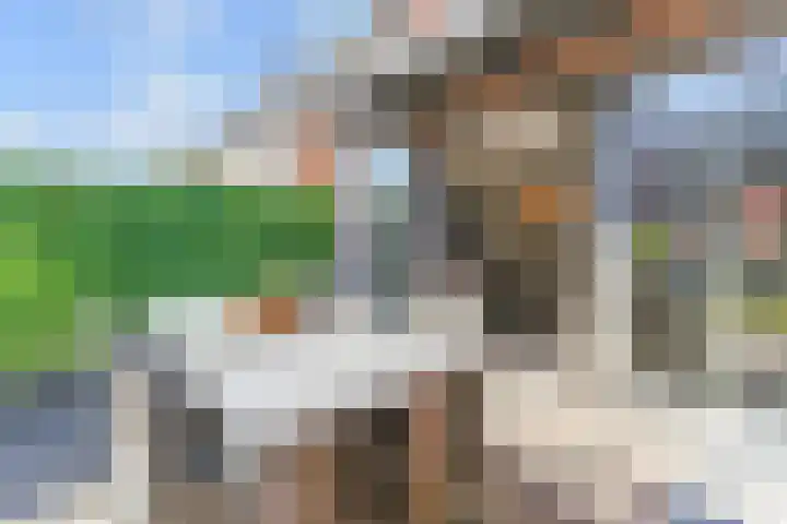 Zonnebaars 53 Waddinxveen thumbnail 11