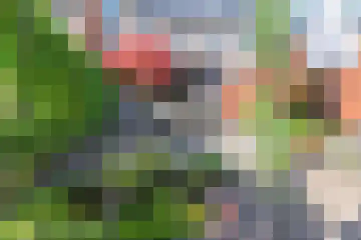Zonnebaars 53 Waddinxveen thumbnail 12