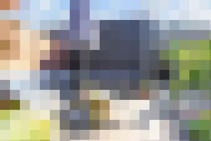 Zonnebaars 53 Waddinxveen thumbnail 13