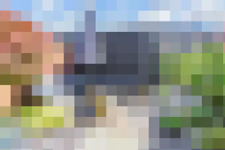 Zonnebaars 53 Waddinxveen thumbnail 15
