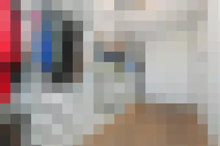 Zonnebaars 53 Waddinxveen thumbnail 19