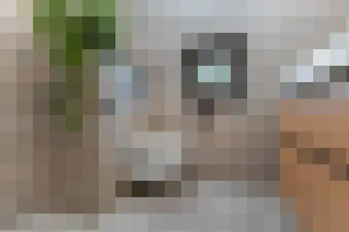 Zonnebaars 53 Waddinxveen thumbnail 20