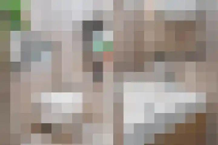 Zonnebaars 53 Waddinxveen thumbnail 21