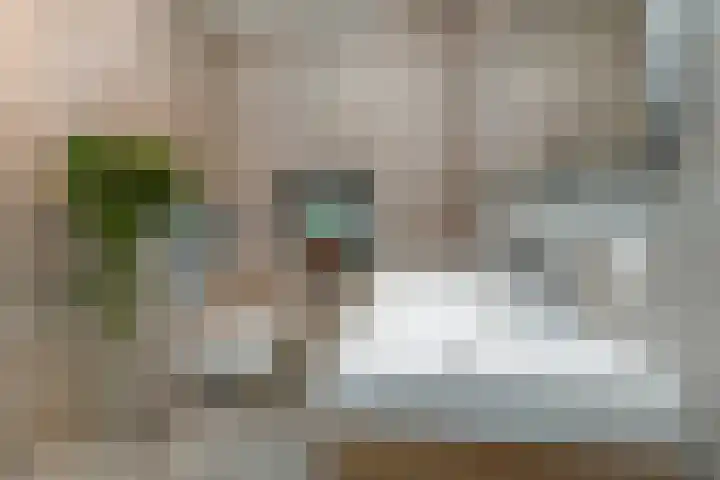 Zonnebaars 53 Waddinxveen thumbnail 22
