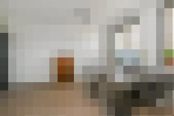 Zonnebaars 53 Waddinxveen thumbnail 25