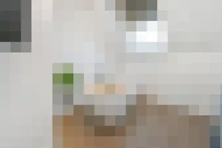 Zonnebaars 53 Waddinxveen thumbnail 33