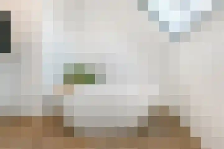 Zonnebaars 53 Waddinxveen thumbnail 34