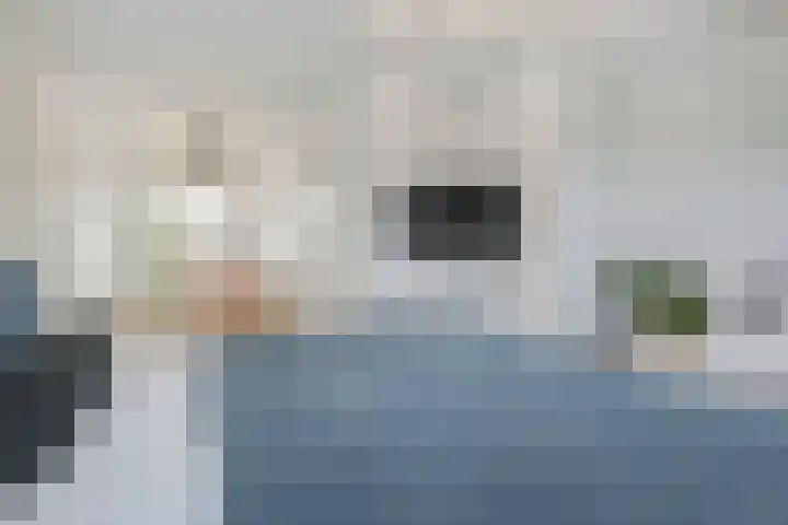 Zonnebaars 53 Waddinxveen thumbnail 36