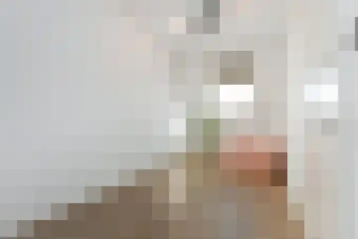 Zonnebaars 53 Waddinxveen thumbnail 38