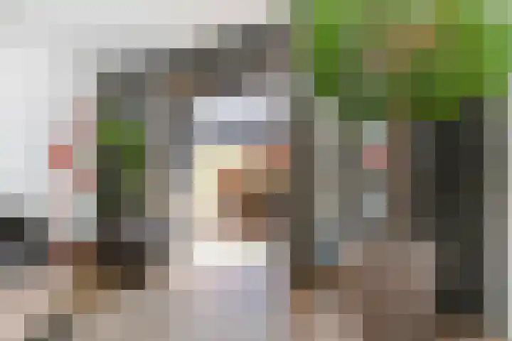 Zonnebaars 53 Waddinxveen thumbnail 4