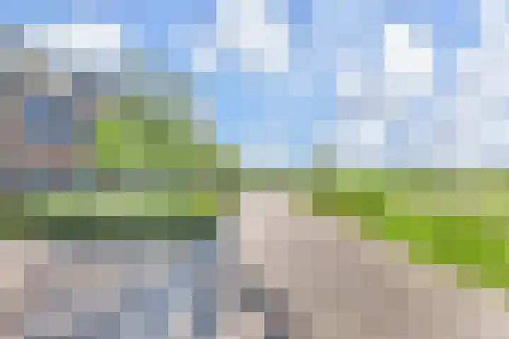 Zonnebaars 53 Waddinxveen thumbnail 40