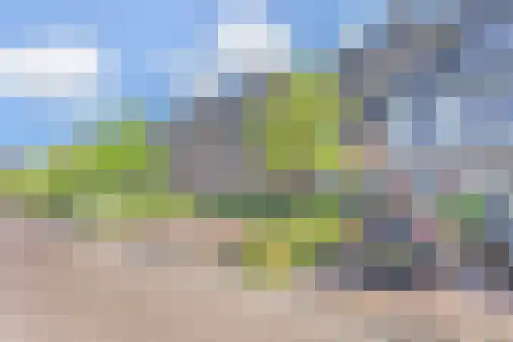 Zonnebaars 53 Waddinxveen thumbnail 41
